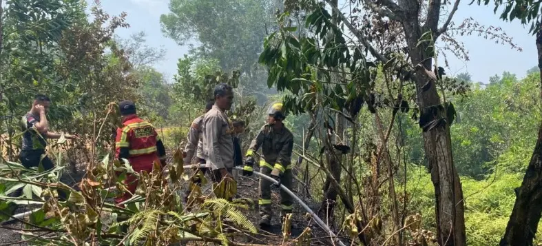 personnel-deployed-to-handle-land-and-forest-fire-in-bentiring-bengkulu