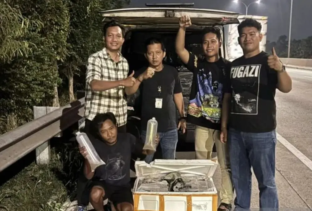 metro-jaya-police-foils-smuggling-of-150-thousand-lobster-larvae