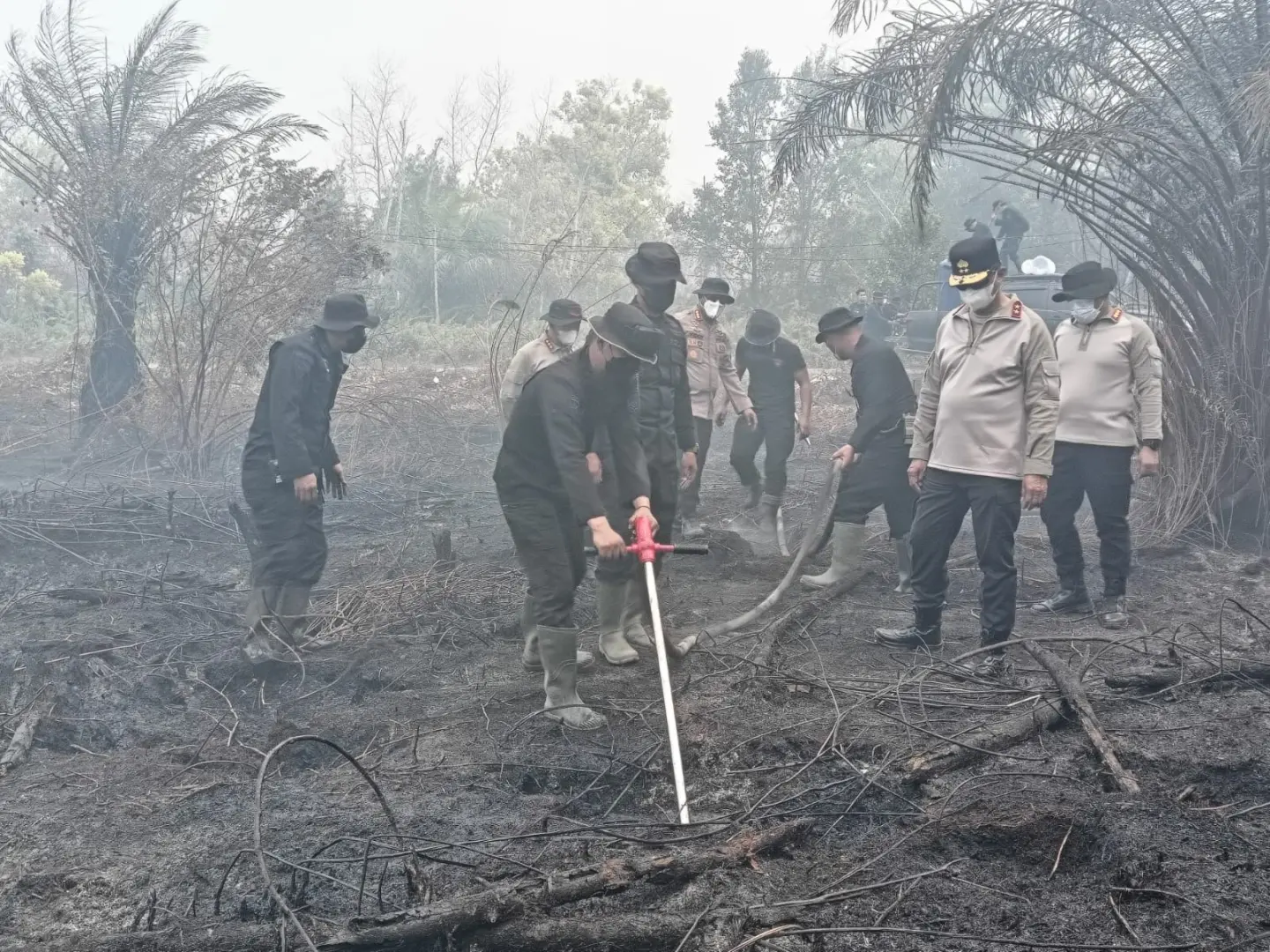 central-kalimantan-police-deploy-cassava-based-powder-to-extinguish-peatland-fires