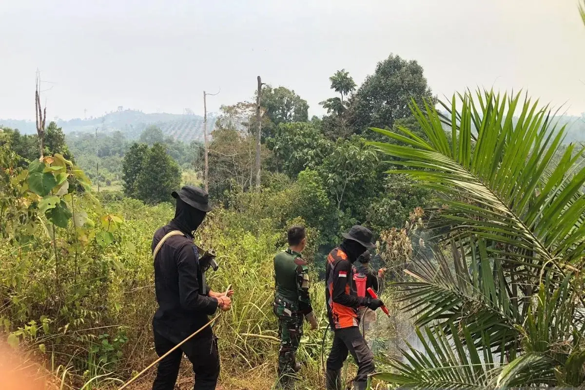 jambi-brimob-patrols-elephant-conservation-area-to-prevent-wildfires