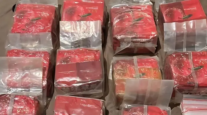 malaysian-jokers-networks-uncovered-by-police-nine-kilogram-meth-and-10255-ecstasy-seized