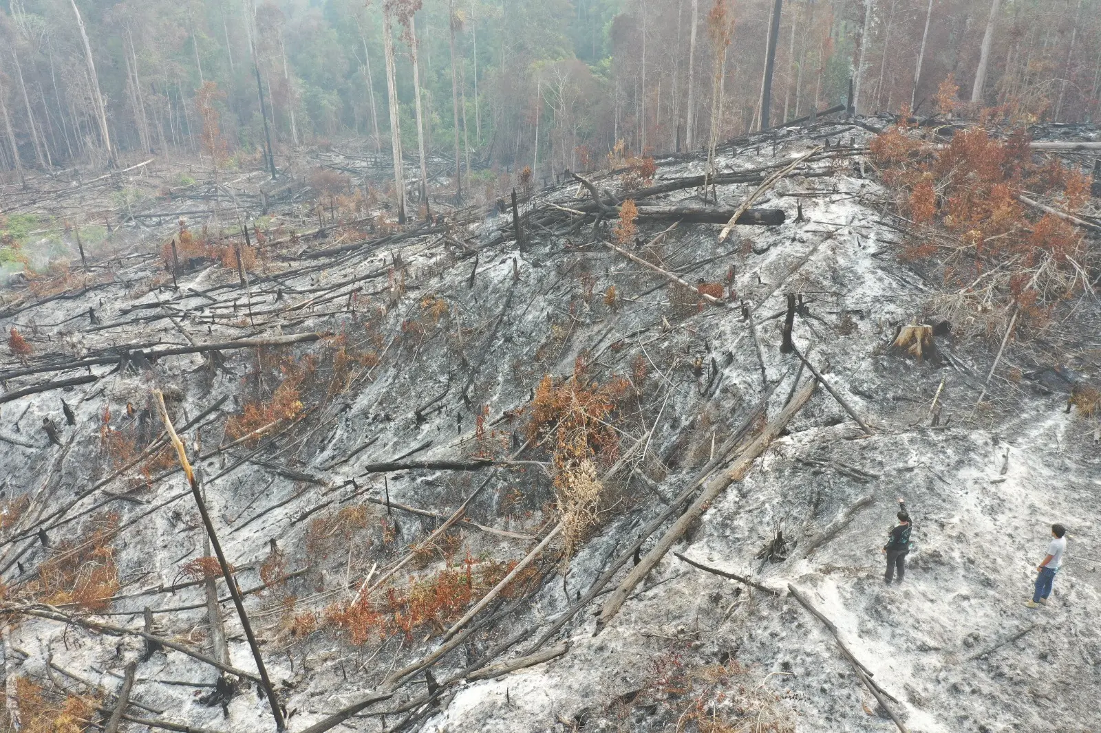 north-kalimantan-police-investigate-alleged-wildfire-crime-in-bulungan-regency