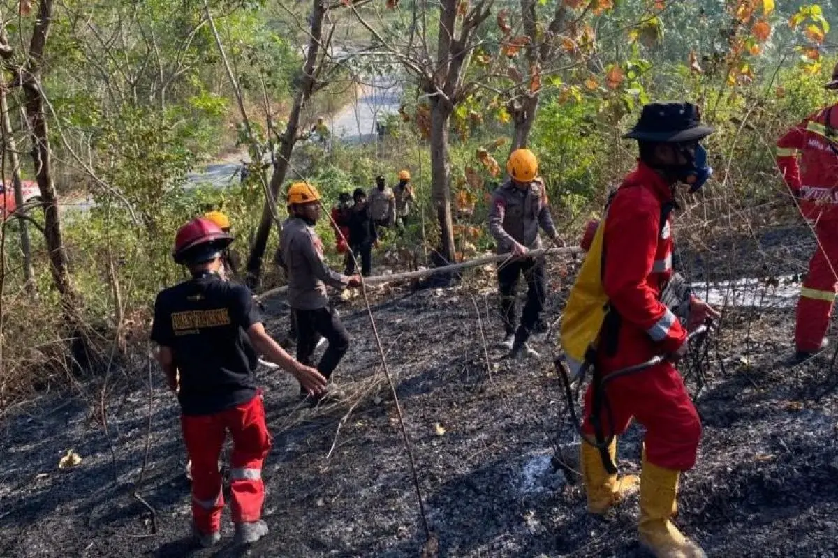 central-sulawesi-police-deploy-brimob-unit-to-combat-forest-fires