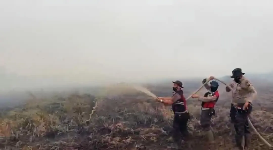 ogan-komering-ilir-police-extinguish-forest-fire-near-kayuagung-palembang-toll-road-km-346