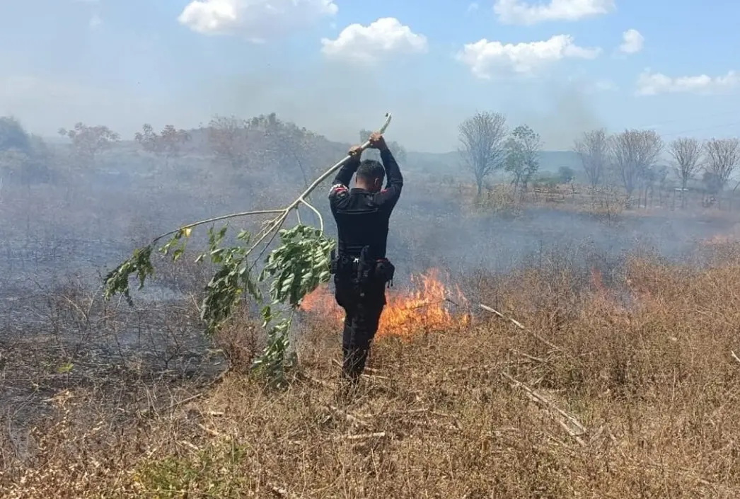 west-nusa-tenggara-police-brimob-extinguishes-land-fire-along-sumbawa-traffic-corridor