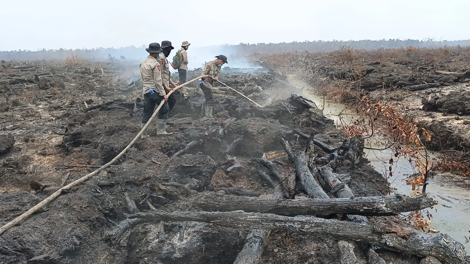 south-sumatra-polices-operation-x-fire-extinguishes-80-hectare-peatland-wildfire