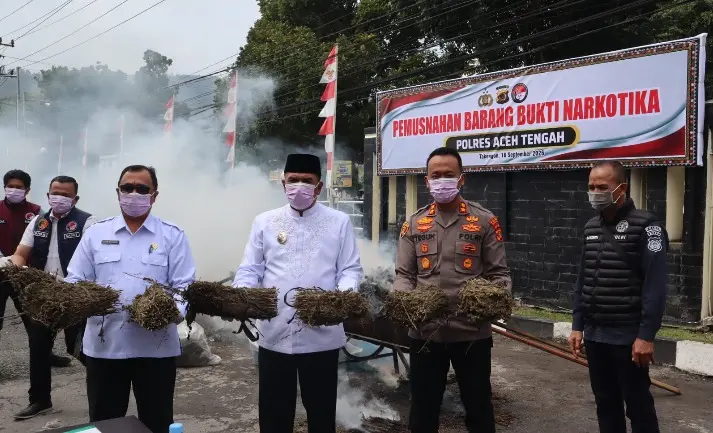 Central Aceh Police Destroy 101.9 Kilograms of Confiscated Marijuana in Takengon