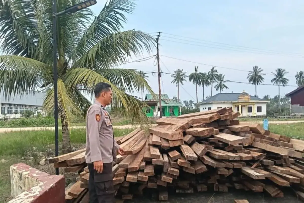 police-uncover-illegal-logging-activity-10-tons-of-woods-secured