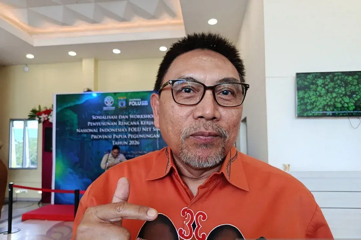 forest-ministry-invites-papua-mountains-govt-to-plant-trees-to-maintain-natural-ecosystem