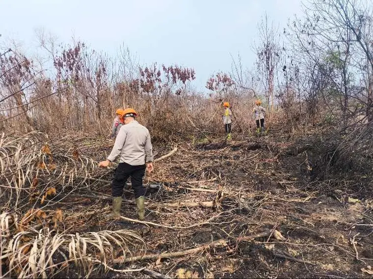 Authorities Tightened Monitor on Burned Areas to Prevent Wildfire from Emerging in West Kalimantan