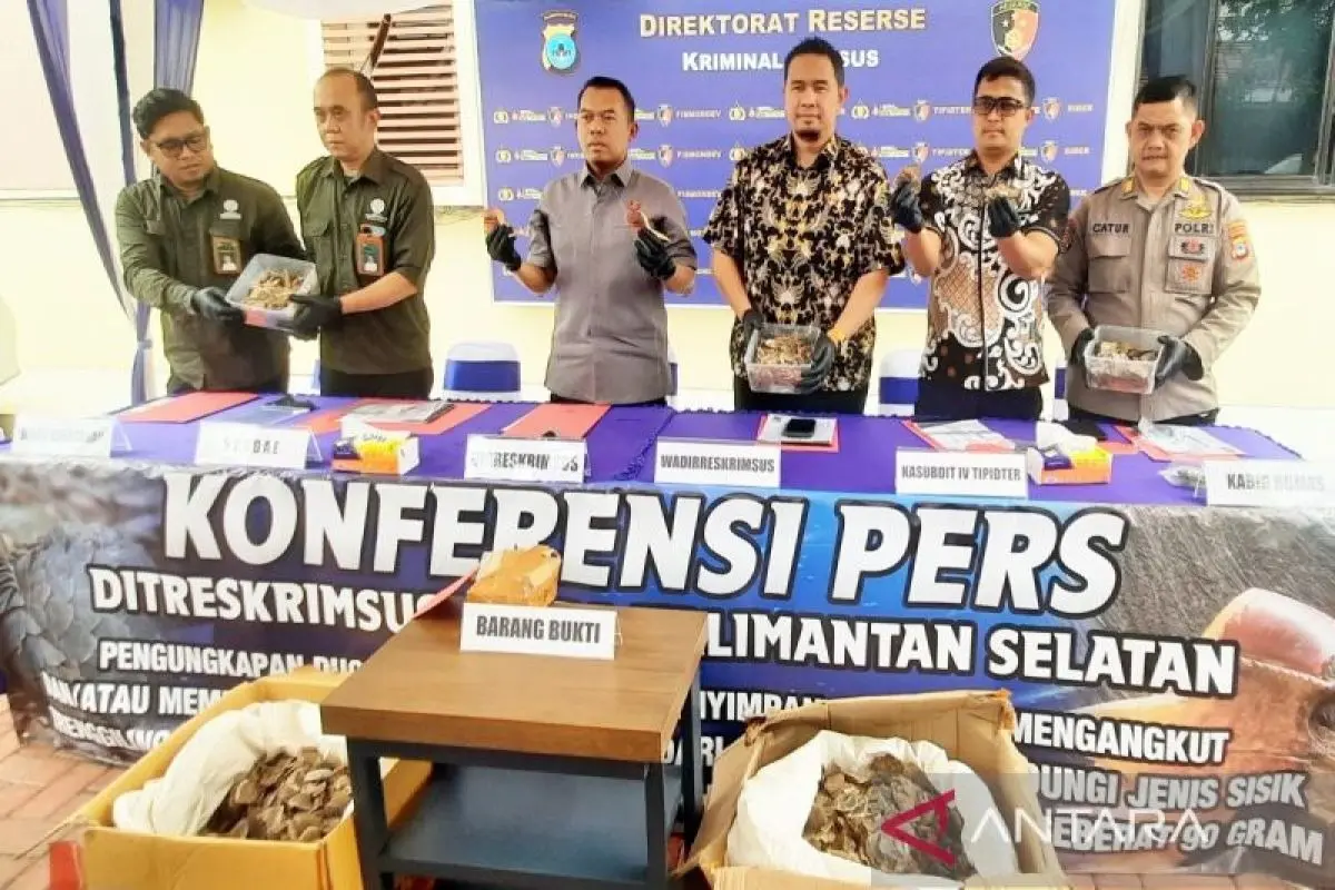 south-kalimantan-police-uncover-inter-provincial-pangolin-scale-trafficking-syndicate