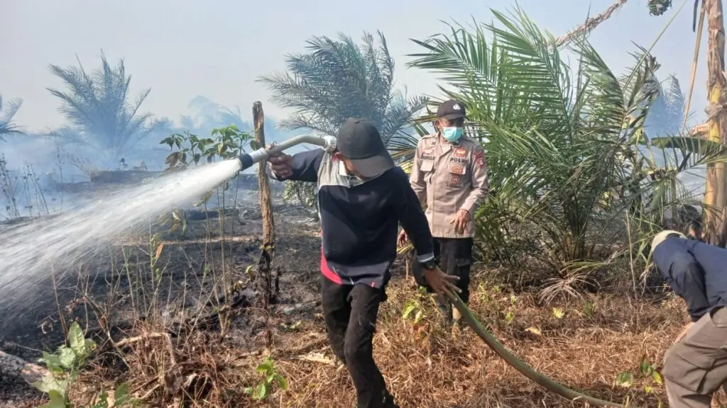 joint-police-and-firefighter-team-extinguishes-20-hectares-of-wildfire-in-paser-regency-east-kalimantan