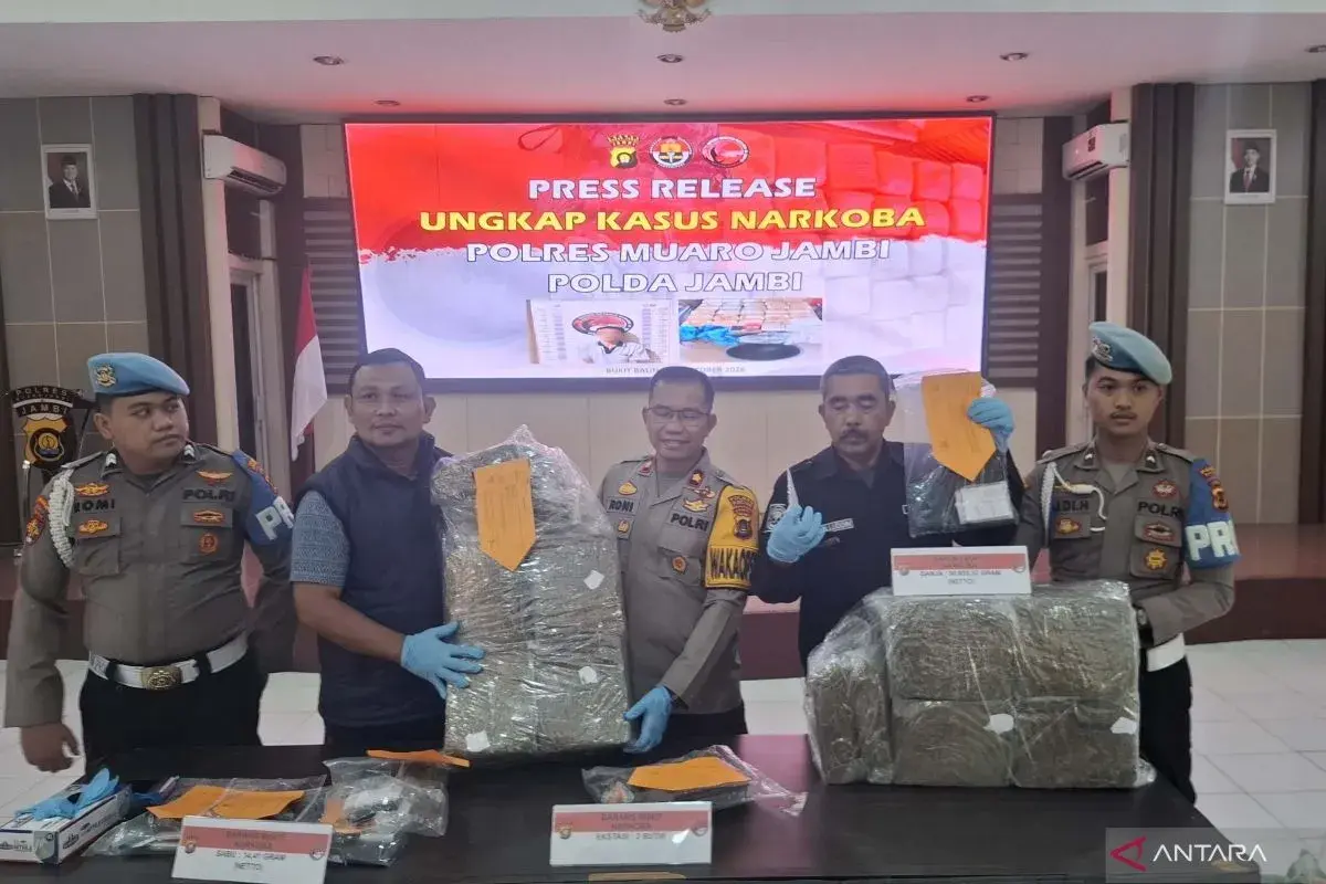 308-kg-of-marijuana-distribution-thwarted-by-police-in-muaro-jambi