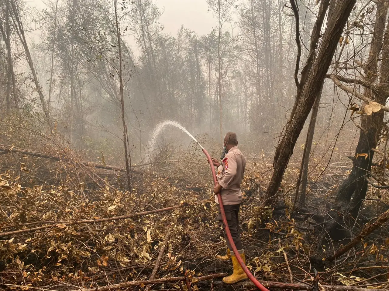 Police Task Force Continue the Effort of Handling Wildfire in Central Kalimantan