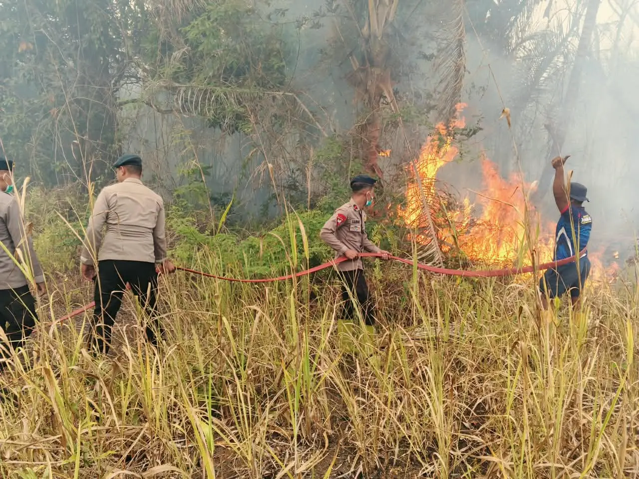 Police Task Force Continue the Effort of Handling Wildfire in Central Kalimantan