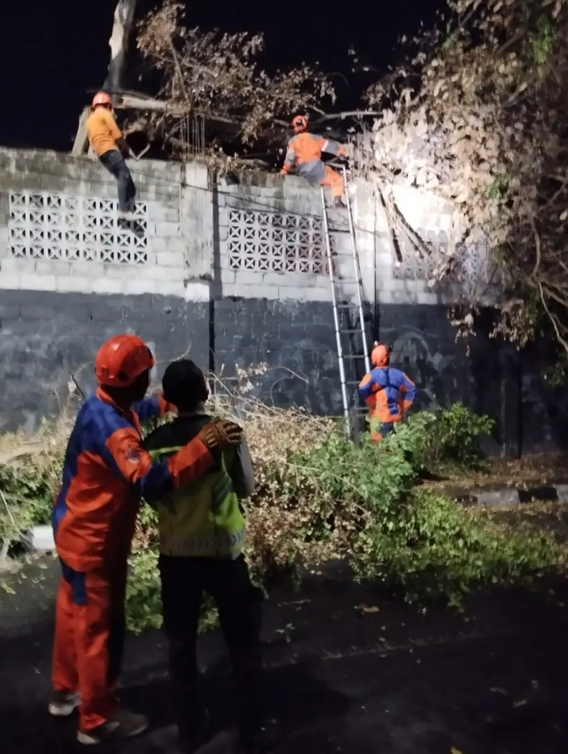 yogyakarta-police-warns-against-unattended-trash-burning-after-fallen-tree-incident