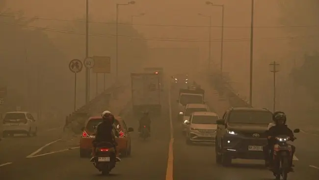Haze Continue to Cover Palangka Raya for the 37th Days, Urgent Actions Needed
