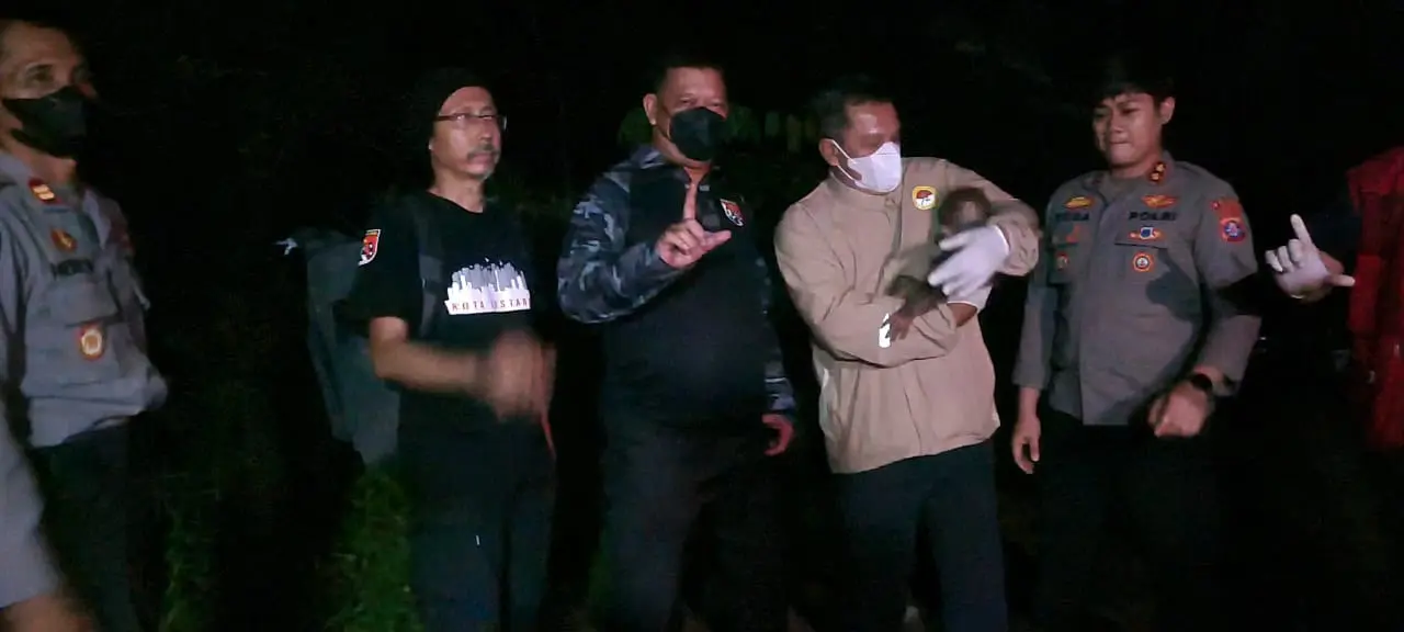 joint-authorities-rescue-orangutan-and-her-baby-from-wildfire-in-central-kalimantan