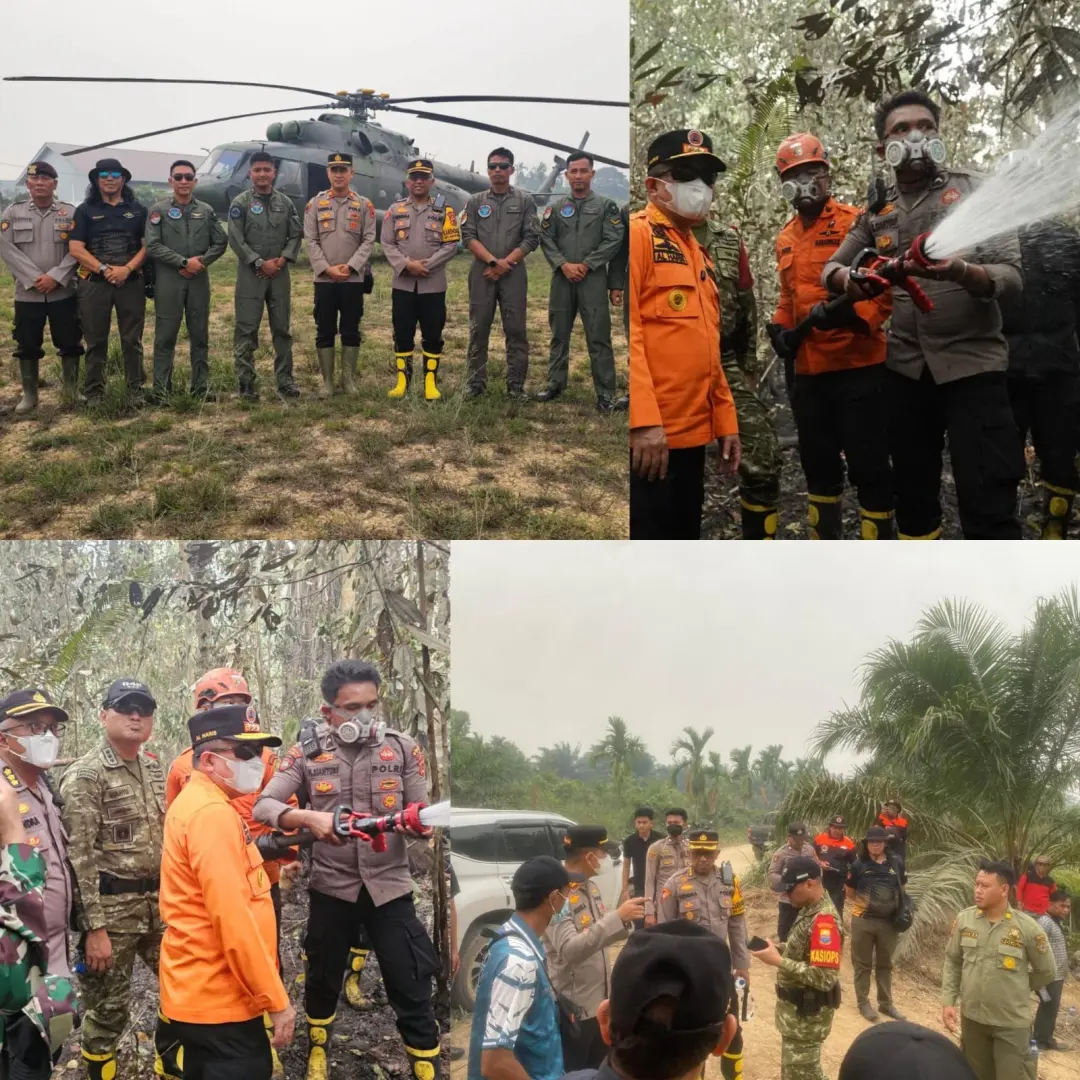 Jambi Officials Monitors the Wildfire Condition in Berbak Sembilang National Park