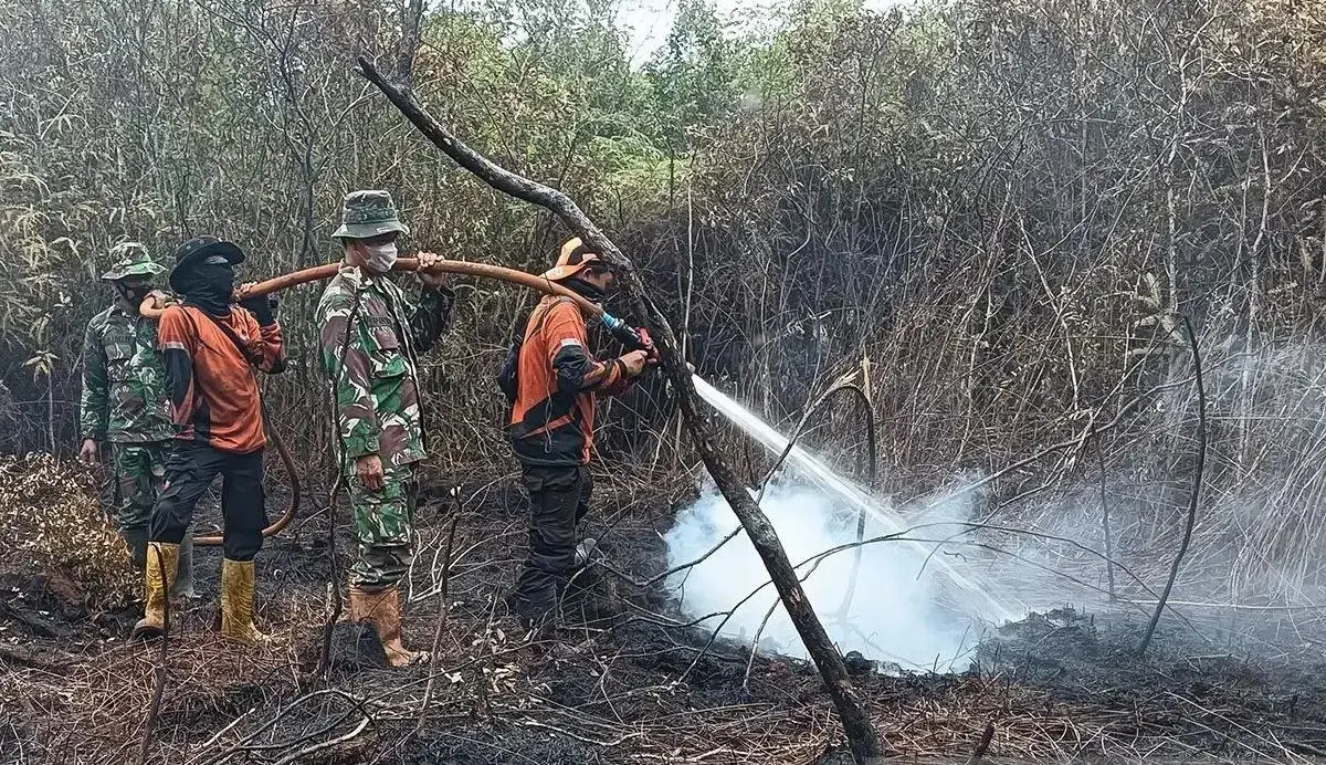 wildfire-in-south-sumatras-sungai-rotan-expands-to-10-hectares