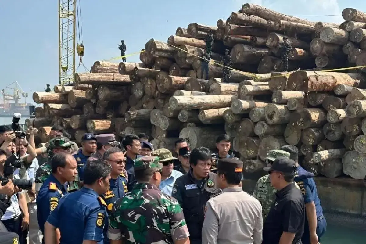 govt-seizes-4600-cubic-meters-of-illegal-timber-worth-rp-239-billion