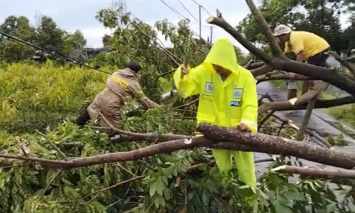 police-evacuates-a-massive-fallen-trees-in-ntb-following-extreme-weather