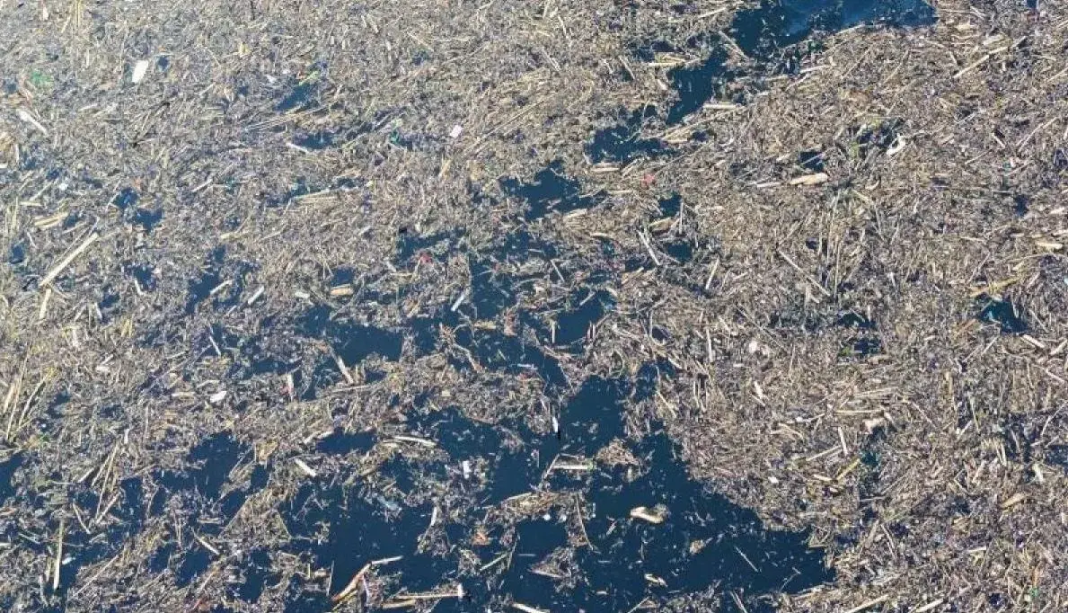 inp-probes-origin-of-logs-swept-into-sumatra-floods