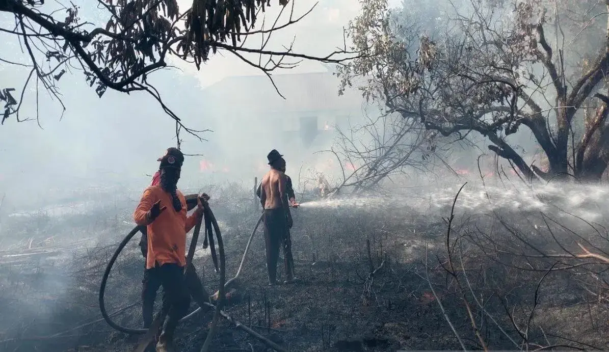 bpbd-warns-of-forest-and-land-fire-risks-during-august-september-dry-season