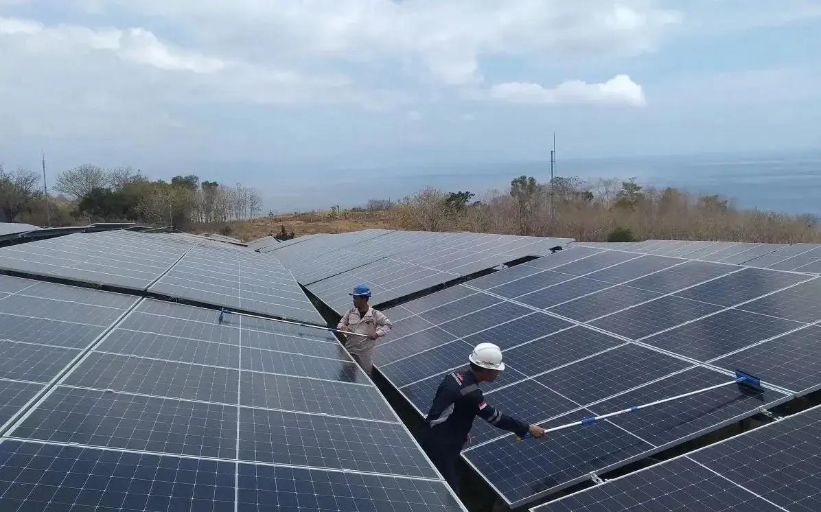 wwf-urges-indonesia-to-stay-in-paris-agreement