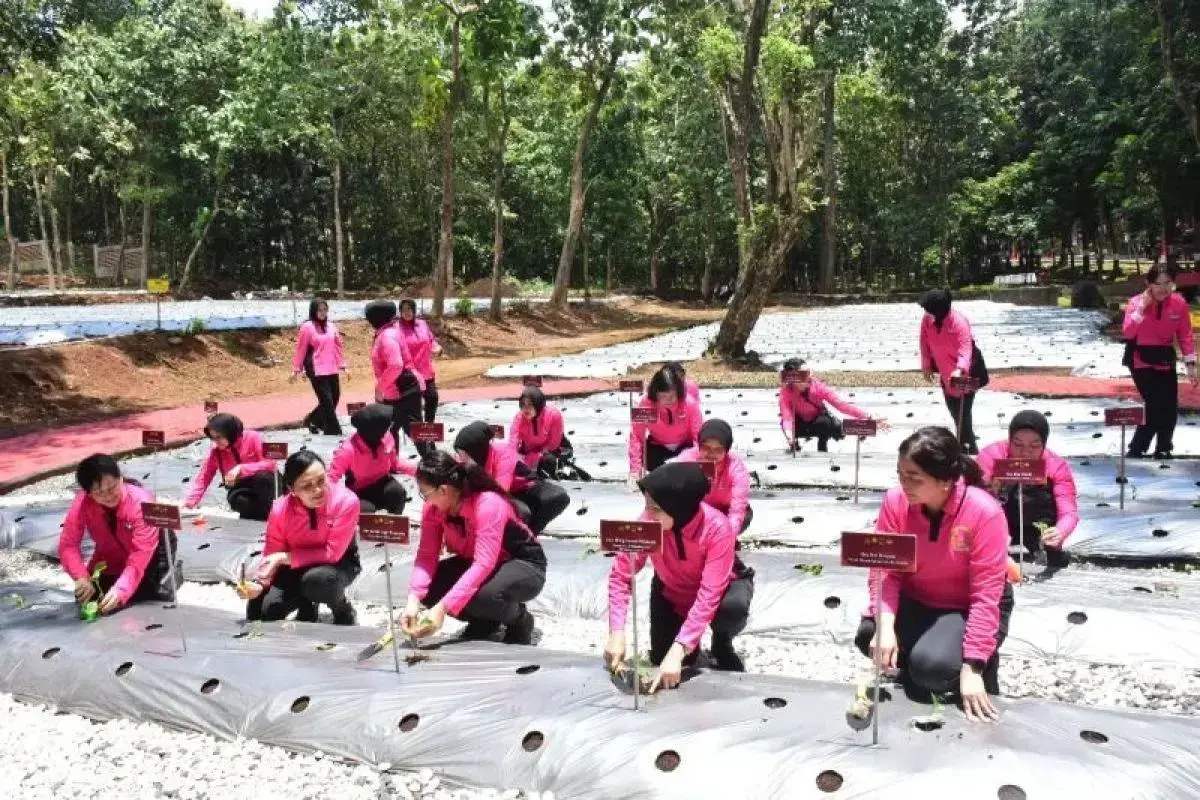 inp-bhayangkari-launch-program-to-strengthen-national-food-security