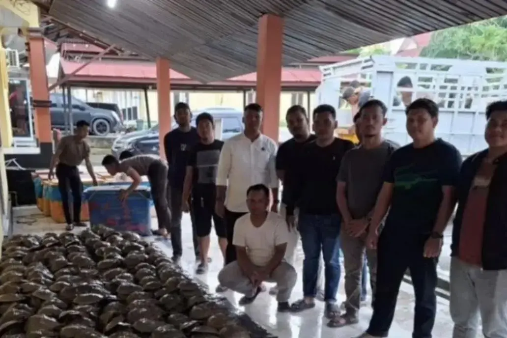 riau-police-seize-1449-protected-horseshoe-crabs-in-illegal-trade-bust