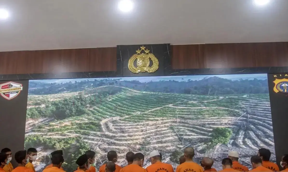 bnpb-names-44-suspects-in-riau-forest-fires-govt-confirm-intentional-burning