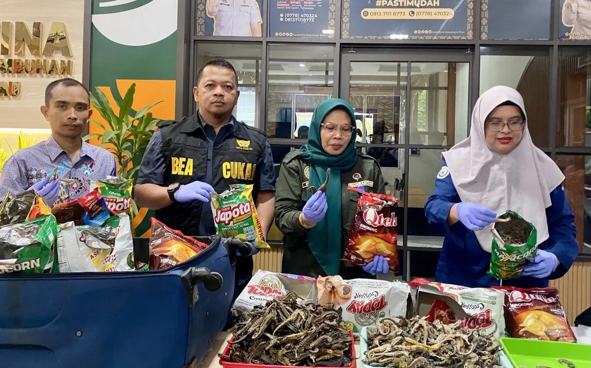 quarantine-officers-foil-seahorse-smuggling-attempt-by-an-egyptian-in-batam