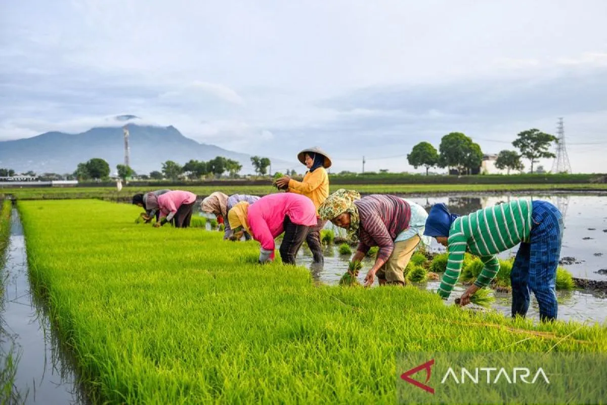agricultural-downstreaming-to-be-the-focus-in-the-food-bill-revision