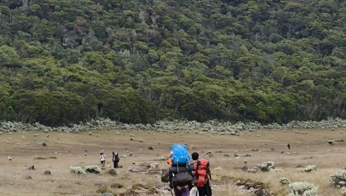 all-mount-gede-pangrango-hiking-trails-closed-from-13-october-for-cleanup-and-safety-review