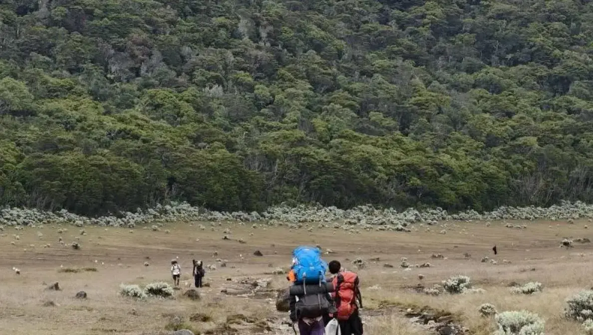 all-mount-gede-pangrango-hiking-trails-closed-from-13-october-for-cleanup-and-safety-review