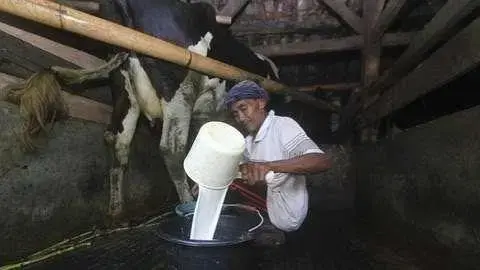 dpn-addressed-the-local-dairy-quality-in-light-of-recent-issues