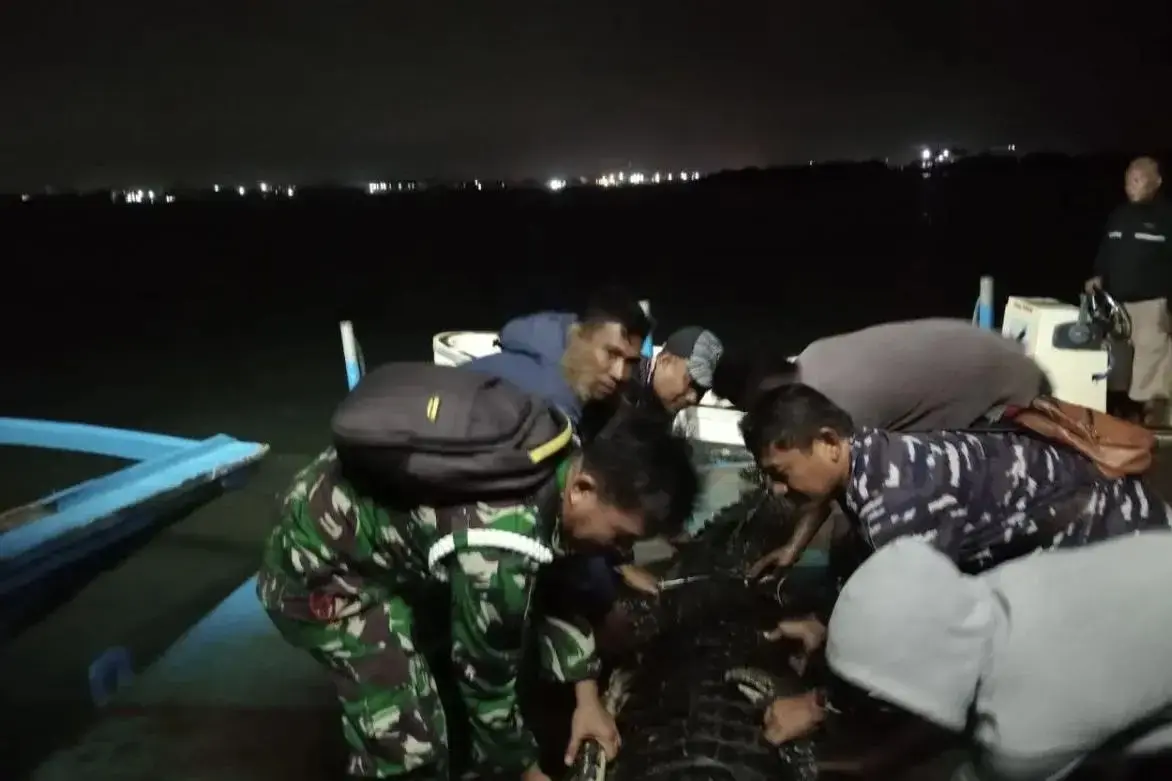 the-navy-assists-in-capturing-escaped-crocodiles-on-bulan-island