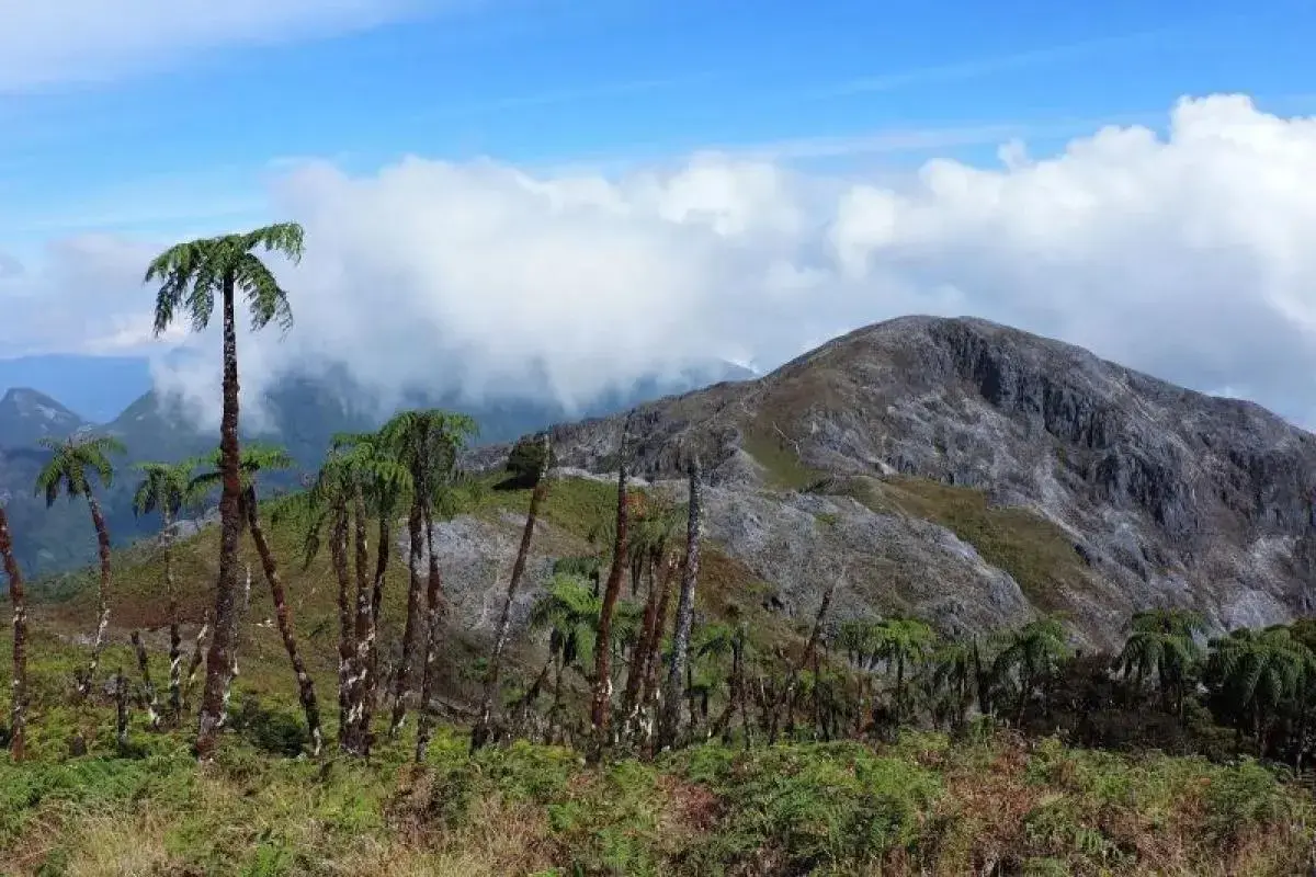 mount-binaiya-in-central-maluku-closed-amid-search-for-missing-hiker