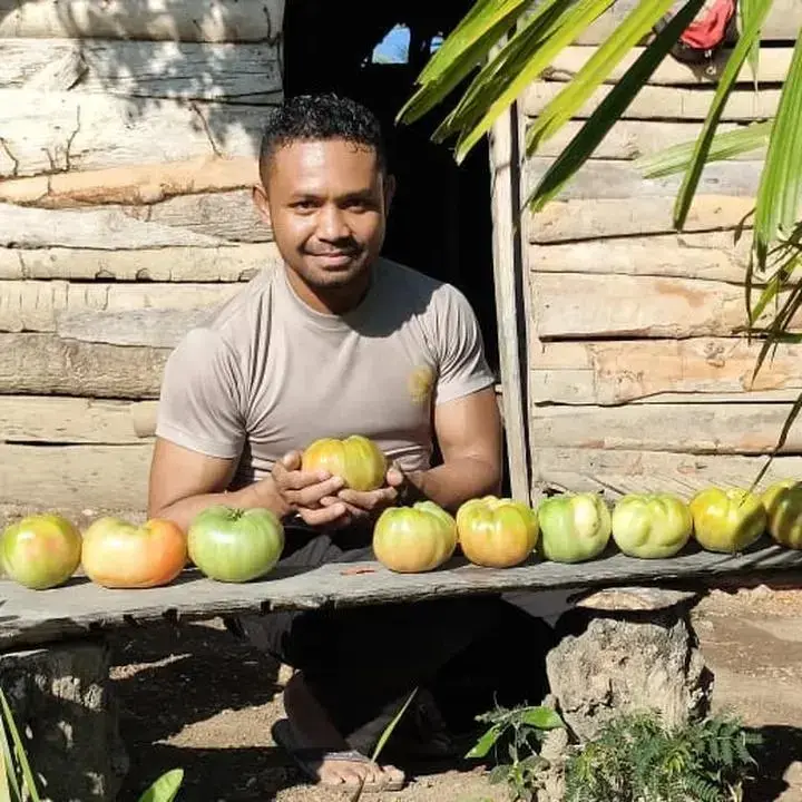 border-policeman-saves-giant-tomato-earns-police-chiefs-gold-pin