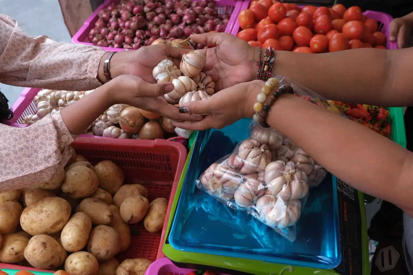 deputy-iii-for-economic-affairs-reports-garlic-price-remains-high