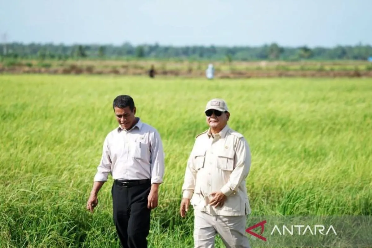 4-tons-of-national-rice-reserves-serves-as-a-symbol-of-better-farmer-welfare