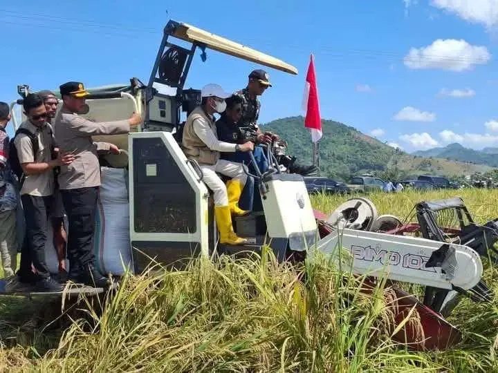 bulog-committed-to-not-import-rice-as-per-directive-of-president-prabowo