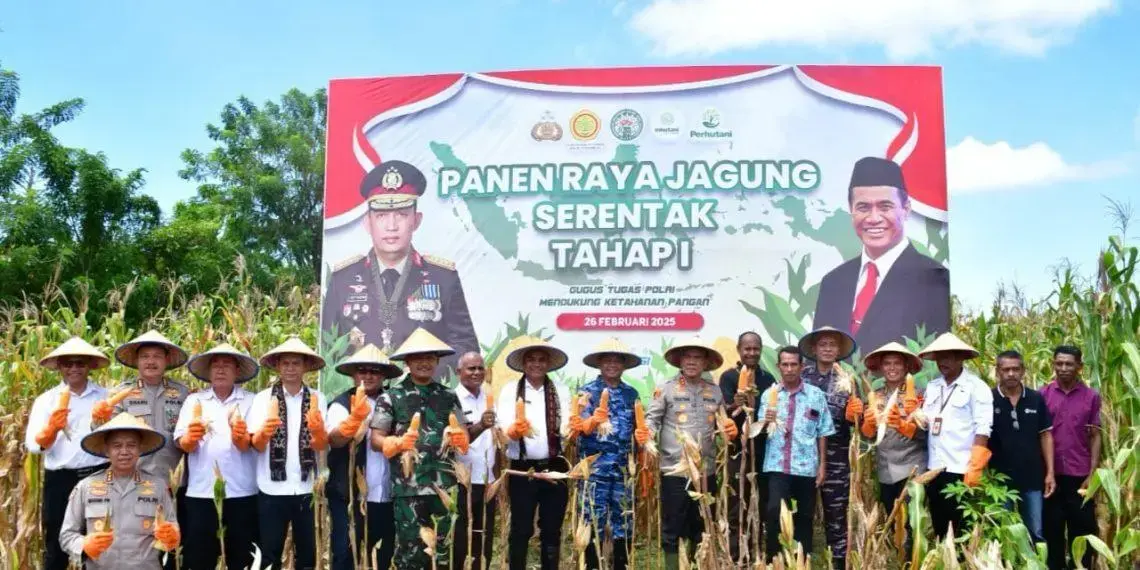 ntt-regional-police-joins-the-first-phase-of-corn-harvest
