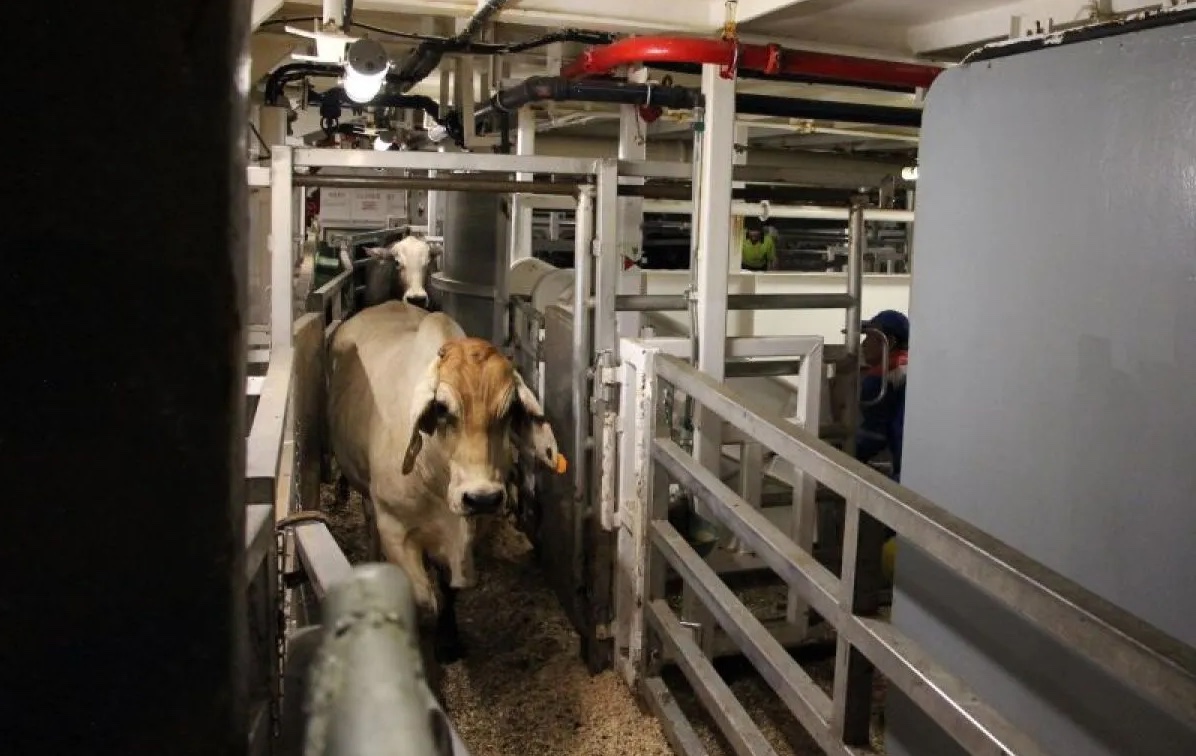 indonesia-and-australia-deepen-agribusiness-ties-through-a-seabx-2025