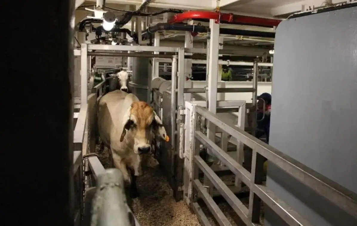 indonesia-and-australia-deepen-agribusiness-ties-through-a-seabx-2025