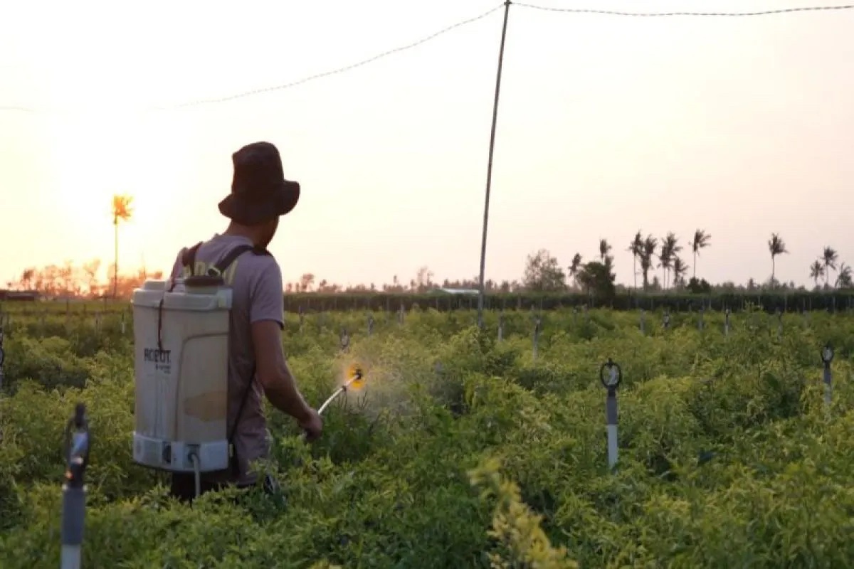 young-policemans-efforts-to-boost-food-security-through-farming-in-kulon-progo