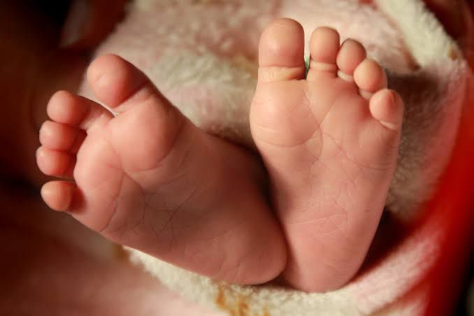 bali-regional-police-to-launch-investigation-on-babies-selling-syndicate