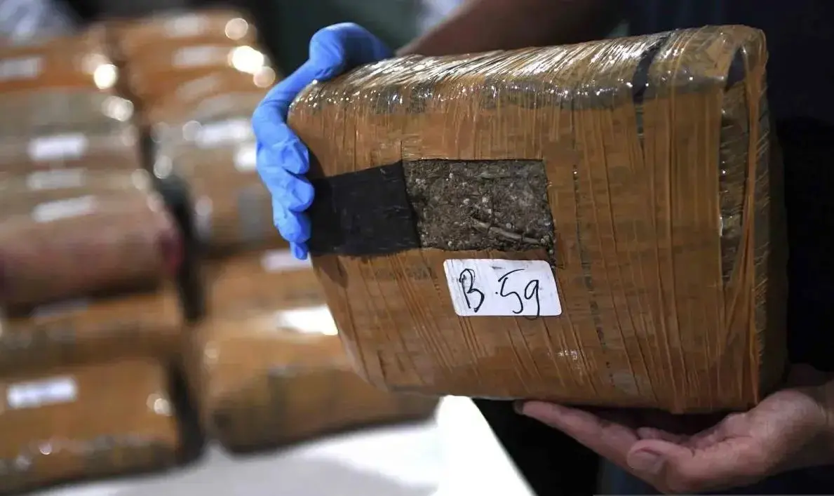 police-uncover-34-kg-marijuana-trafficking-network-from-north-sumatra-to-jakarta